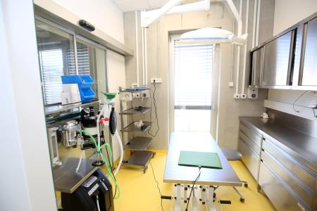 ZAVETIŠČE GMAJNICE PODPIS KONCESIJSKE POGODBE 33 FOTO LJUBO VUKELIČ